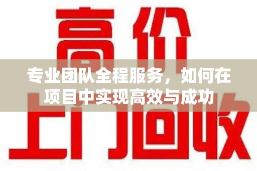 金华专业团队全程服务，如何在项目中实现高效与成功