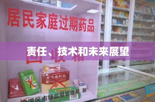 金华责任、技术和未来展望