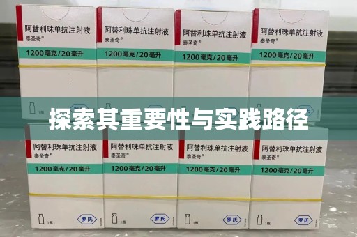 金华探索其重要性与实践路径