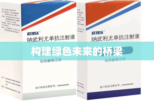 金华构建绿色未来的桥梁