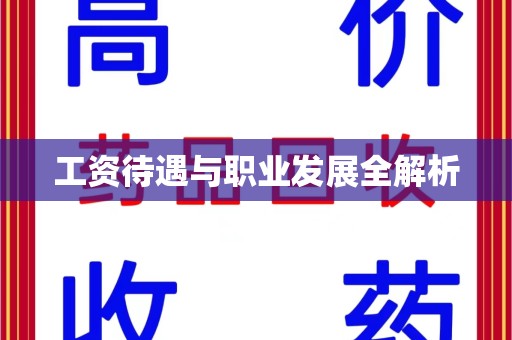 金华工资待遇与职业发展全解析