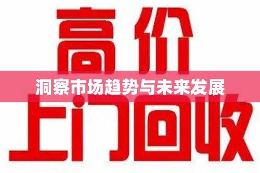 金华洞察市场趋势与未来发展