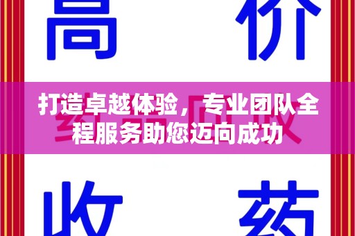 金华打造卓越体验，专业团队全程服务助您迈向成功